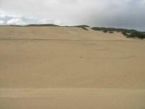 sand_dunes_2comp.jpg