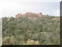 freycinet_nat_park2comp.jpg